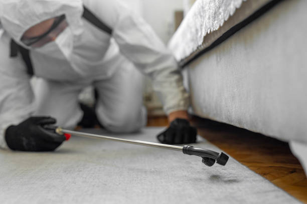 Professional Pest Control technician working in Moniteau County County, MO